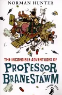 Les incroyables aventures du professeur Branestawm - Incredible Adventures of Professor Branestawm