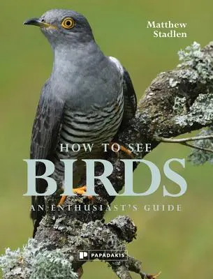 Comment voir les oiseaux : Un guide pour les passionnés - How to See Birds: An Enthusiast's Guide