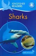 Kingfisher Readers : Requins (Niveau 4 : lecture seule) - Kingfisher Readers: Sharks (Level 4: Reading Alone)