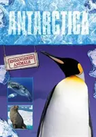 Antarctique - Antarctica