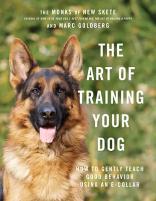 L'art de dresser son chien : comment lui apprendre en douceur les bons comportements à l'aide d'un collier électronique - The Art of Training Your Dog: How to Gently Teach Good Behavior Using an E-Collar