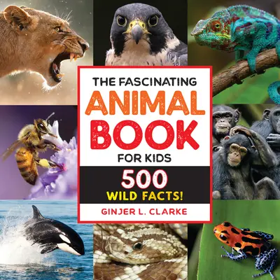 Le livre des animaux fascinants pour les enfants : 500 faits sur la nature ! - The Fascinating Animal Book for Kids: 500 Wild Facts!