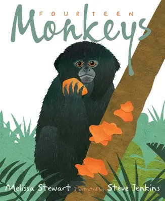 Quatorze singes : Une comptine de la forêt tropicale - Fourteen Monkeys: A Rain Forest Rhyme