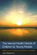 Les besoins des enfants et des jeunes en matière de santé mentale : Les besoins en santé mentale des enfants et des jeunes : guide des questions et pratiques clés dans Camhs - The Mental Health Needs of Children & Young People: Guiding You to Key Issues and Practices in Camhs