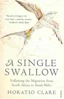 Single Swallow - Un voyage épique de l'Afrique du Sud au sud du Pays de Galles - Single Swallow - Following An Epic Journey From South Africa To South Wales