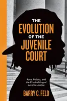 L'évolution du tribunal pour enfants : Race, politique et criminalisation de la justice des mineurs - The Evolution of the Juvenile Court: Race, Politics, and the Criminalizing of Juvenile Justice