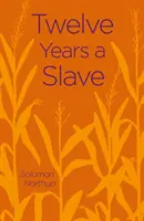 Douze ans d'esclavage - Twelve Years a Slave