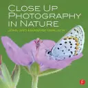 La photographie de proximité dans la nature - Close Up Photography in Nature