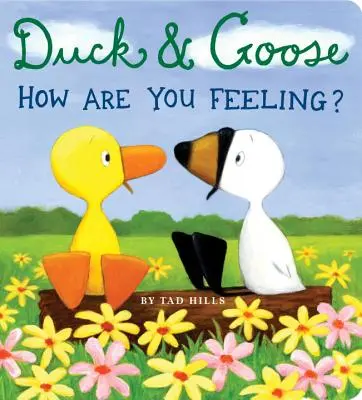 Canard et l'Oie, Comment te sens-tu ? - Duck & Goose, How Are You Feeling?