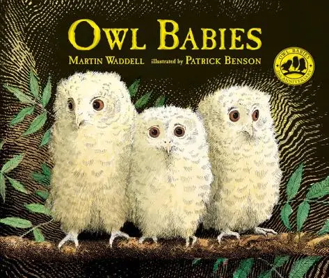 Les bébés hiboux - Owl Babies