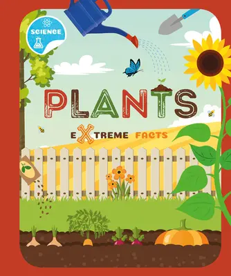 Les plantes - Plants