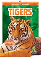 Tigres - Tigers