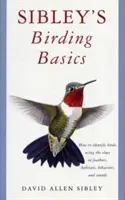 Les bases de l'ornithologie selon Sibley - Sibley's Birding Basics