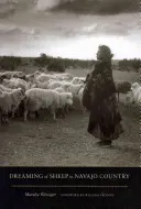 Rêver de moutons en pays Navajo - Dreaming of Sheep in Navajo Country