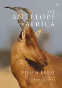 L'antilope d'Afrique - The Antelope of Africa