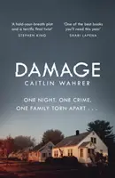 Damage - Un premier roman captivant et émotionnel avec un rebondissement que vous ne verrez pas venir - Damage - An unputdownable and emotionally gripping debut with a twist you won't see coming