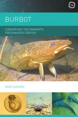 La lotte : La conservation de l'énigmatique morue d'eau douce - Burbot: Conserving the Enigmatic Freshwater Codfish