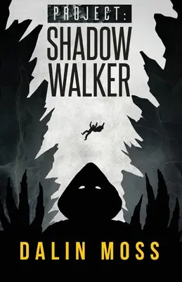 Projet : Shadow Walker - Project: Shadow Walker