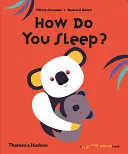 Comment dormez-vous ? - How Do You Sleep?