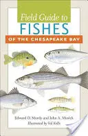Guide des poissons de la baie de Chesapeake - Field Guide to Fishes of the Chesapeake Bay