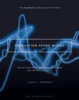 Production Sound Mixing : L'art et la manière d'enregistrer le son pour l'image en mouvement - Production Sound Mixing: The Art and Craft of Sound Recording for the Moving Image