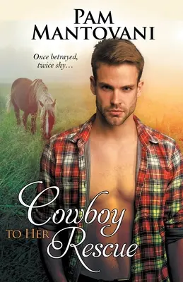 Le cow-boy à la rescousse - Cowboy to Her Rescue