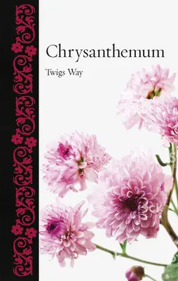 Le chrysanthème - Chrysanthemum