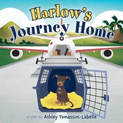 Le retour à la maison de Harlow - Harlow's Journey Home