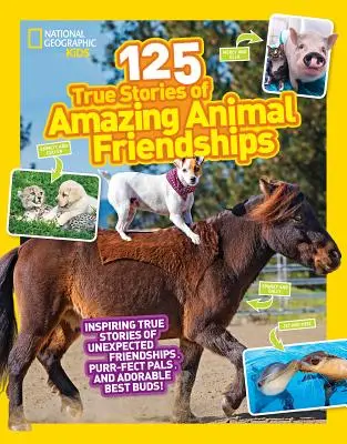 125 histoires vraies d'amitiés animales étonnantes - 125 True Stories of Amazing Animal Friendships