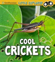 Grillons sympas - Cool Crickets