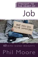 Droit au cœur de Job : 60 idées en bref - Straight to the Heart of Job: 60 Bite-Sized Insights