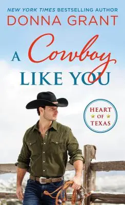 Un cow-boy comme vous - A Cowboy Like You