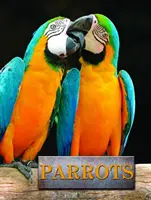 Perroquets - Parrots