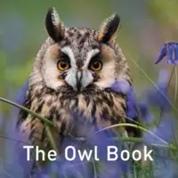 Le livre du hibou - The Owl Book