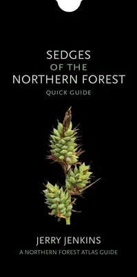 Les carex de la forêt nordique : Guide rapide - Sedges of the Northern Forest: Quick Guide