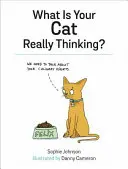 Que pense vraiment votre chat ? - What Is Your Cat Really Thinking?
