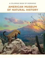 Un livre de coloriage de dioramas - A Coloring Book of Dioramas