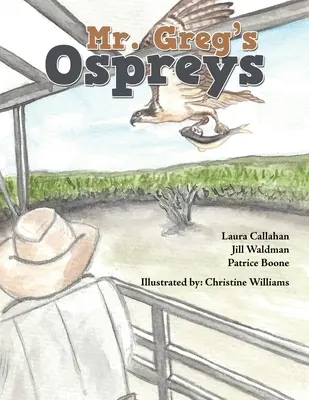Les balbuzards de M. Greg - Mr. Greg's Ospreys