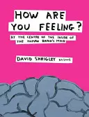 Comment vous sentez-vous ? - Au centre de l'esprit du cerveau humain - How Are You Feeling? - At the Centre of the Inside of The Human Brain's Mind