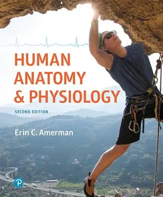 Anatomie et physiologie humaines - Human Anatomy & Physiology