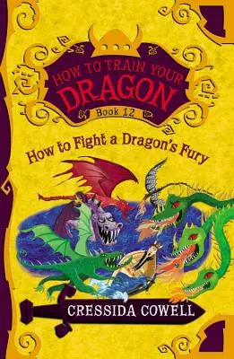 Comment entraîner votre dragon : Comment combattre la fureur d'un dragon - How to Train Your Dragon: How to Fight a Dragon's Fury