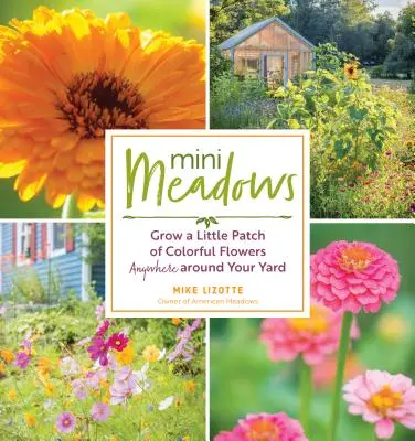 Mini Meadows : Faites pousser une petite parcelle de fleurs colorées n'importe où dans votre jardin. - Mini Meadows: Grow a Little Patch of Colorful Flowers Anywhere Around Your Yard