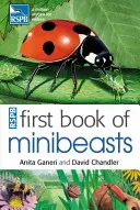 Le premier livre des minibêtes de la RSPB - RSPB First Book Of Minibeasts