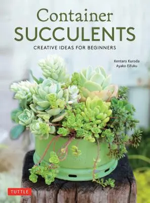 Succulentes en conteneur : Idées créatives pour les débutants - Container Succulents: Creative Ideas for Beginners