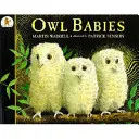 Les bébés hiboux - Owl Babies