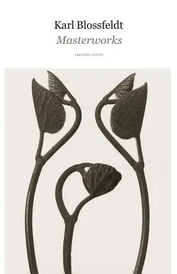 Karl Blossfeldt : Chefs-d'œuvre - Karl Blossfeldt: Masterworks