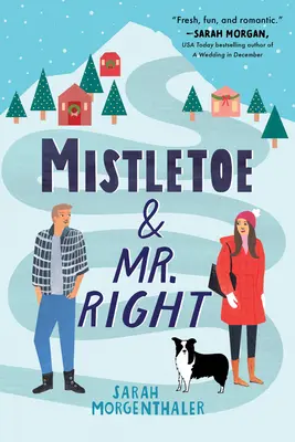 Le gui et l'homme de la situation - Mistletoe and Mr. Right