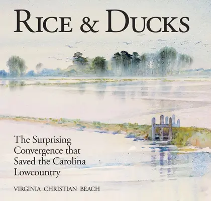 Riz et canards : La surprenante convergence qui a sauvé les basses terres de Caroline - Rice & Ducks: The Surprising Convergence That Saved the Carolina Lowcountry