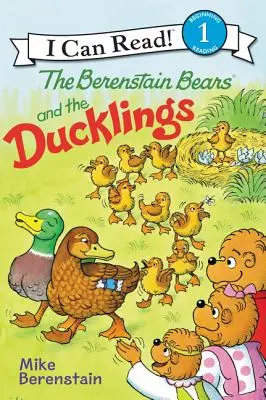 Les ours Berenstain et les canetons - The Berenstain Bears and the Ducklings