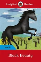 La Belle au bois dormant : Niveau 6 - Black Beauty: Level 6